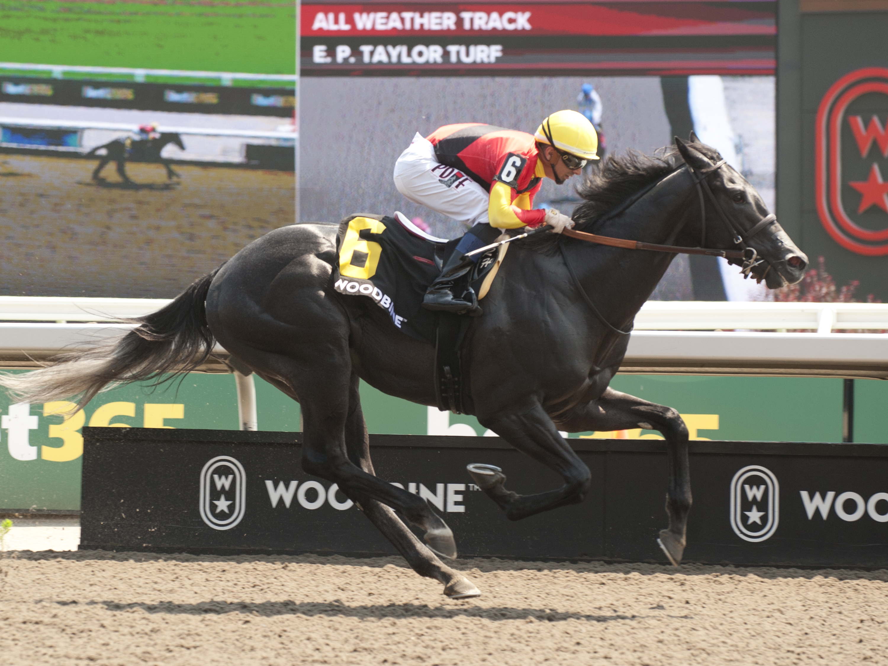 Work of art: Casson leads Casse trifecta finish in Victoria Stakes