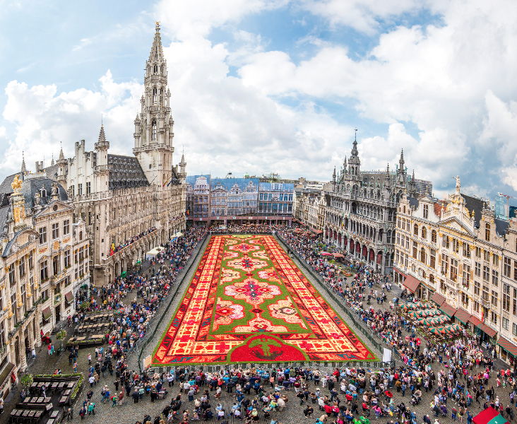 Brussels Flower Carpet 2014
© Gaston Batistini