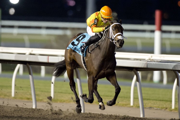 Induation and jockey Leo Salles winning the Princess Elizabeth Stakes on November 25, 2023 at Woodbine (Michael Burns Photo)