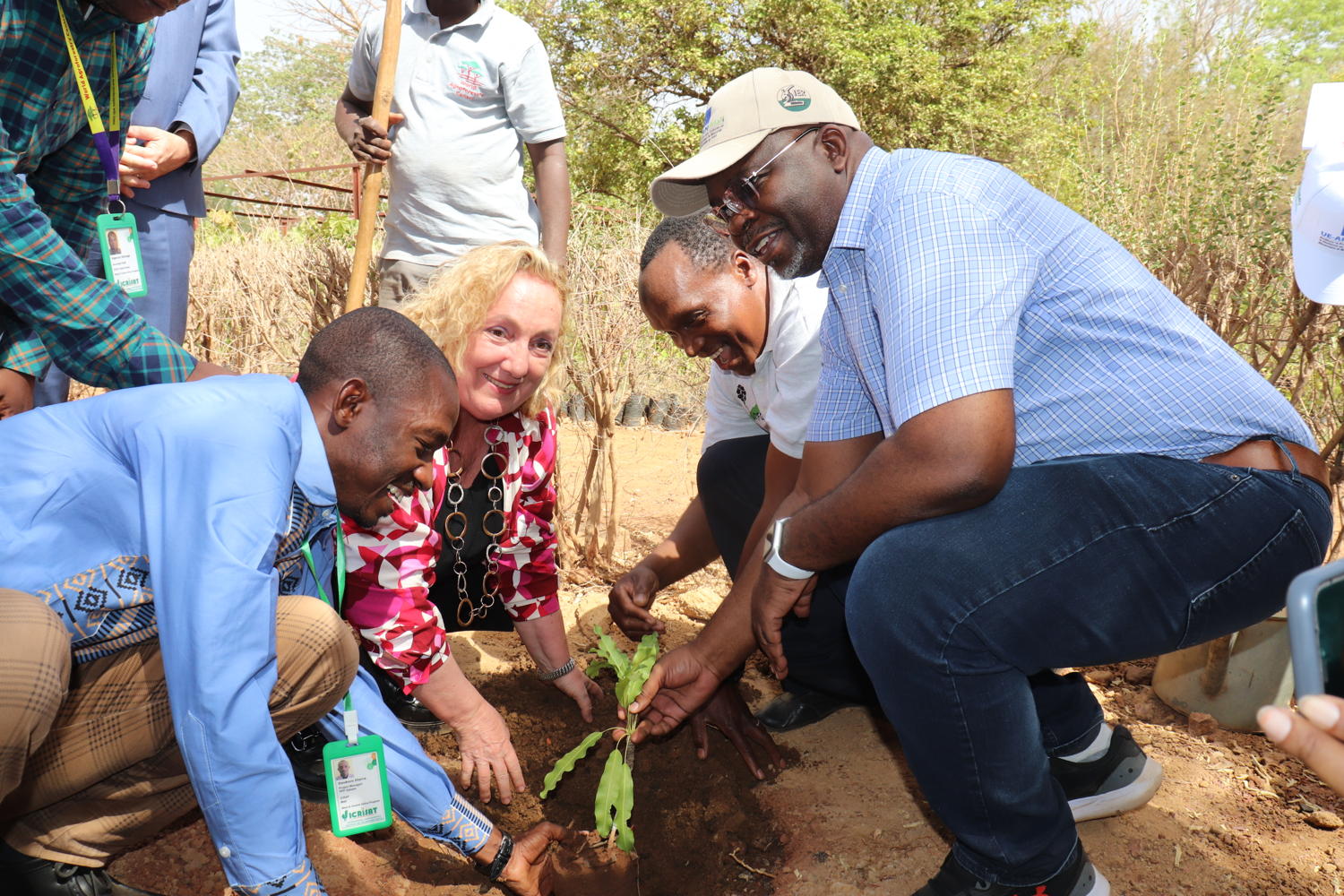 Ms Emanuela Claudia Del Re, EU Special Representative for the Sahel, plants a tree in the CIFOR-ICRAF garden as part of her visit to ICRISAT-Mali.