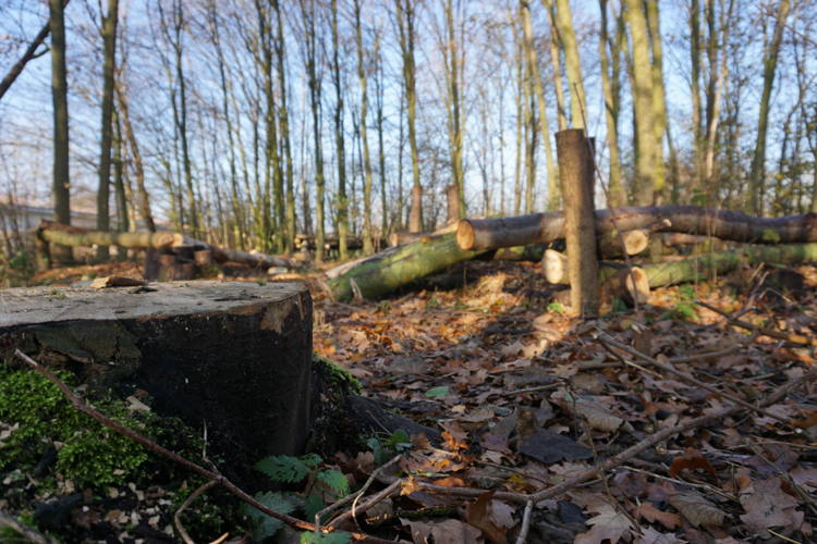 De Gavers Speelbos 