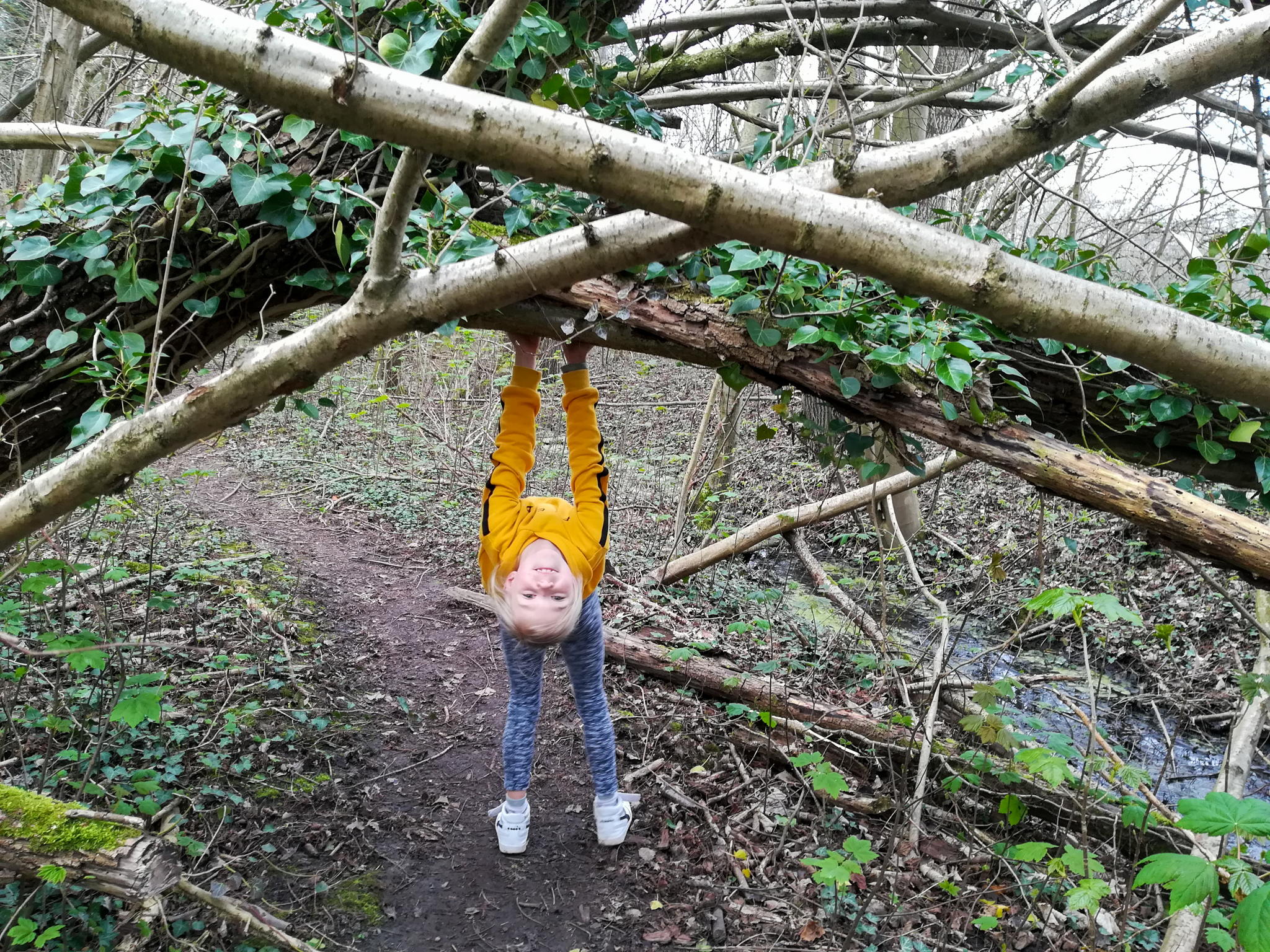 De Vinderhoutse Bossen worden uiteindelijk een groot recreatie- en natuurgebied waar iedereen kan wandelen, fietsen, sporten of spelen in het groen. De Vinderhoutse Bossen worden uiteindelijk een groot recreatie- en natuurgebied waar iedereen kan wandelen, fietsen, sporten of spelen in het groen.