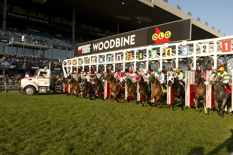 The field exiting the gate for the Breeders' Stakes on October 1, 2023 at Woodbine (Michael Burns Photo) 