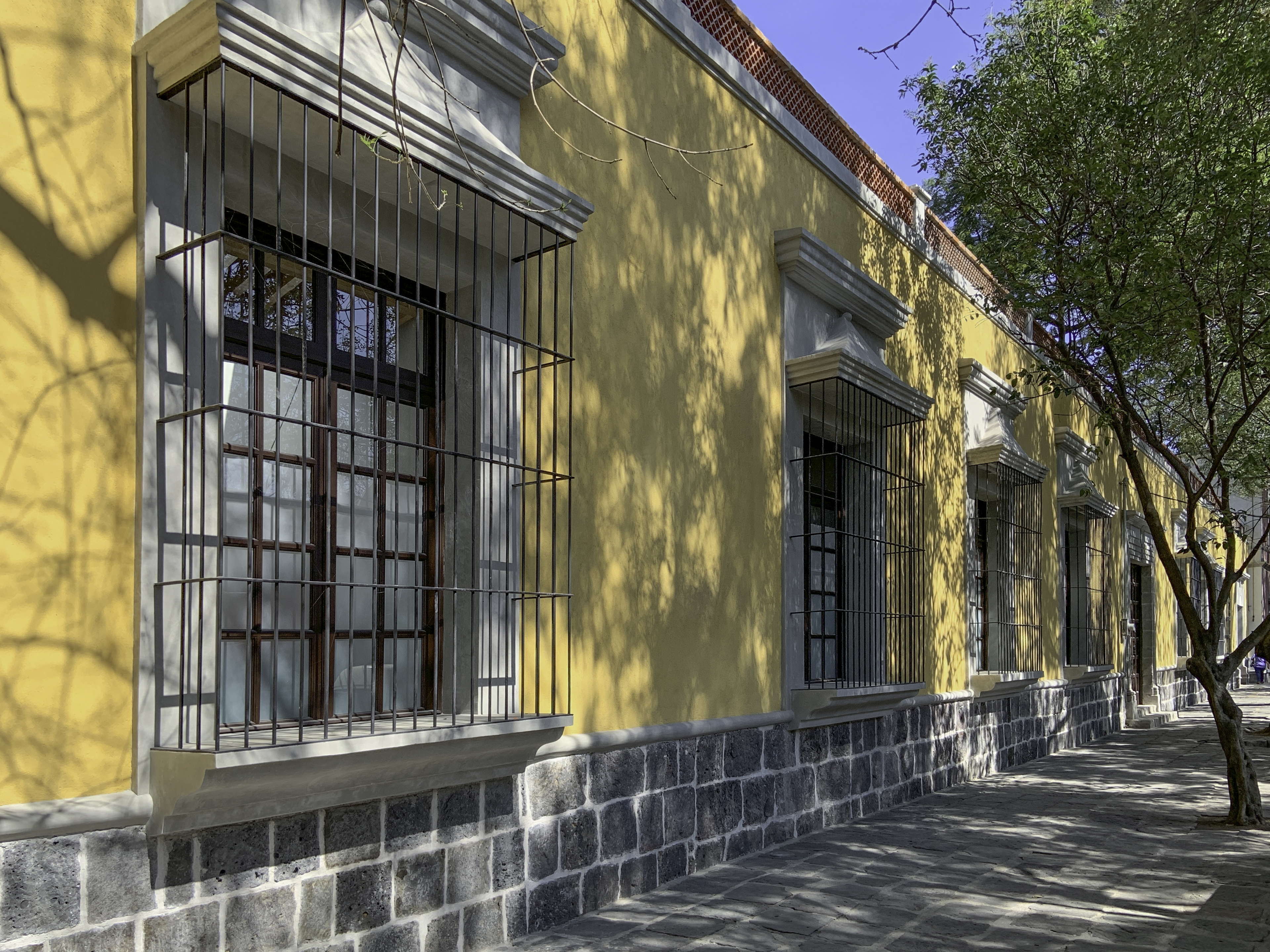 EN EL CENTRO DE LA HISTORIA DE LA CIUDAD DE MÉXICO: 105 FRANCISCO SOSA