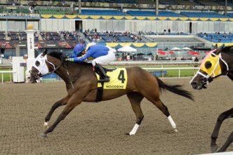 Avoman winning the 2021 Plate Trials at Woodbine. (Michael Burns Photo) Avoman winning the 2021 Plate Trials at Woodbine. (Michael Burns Photo)