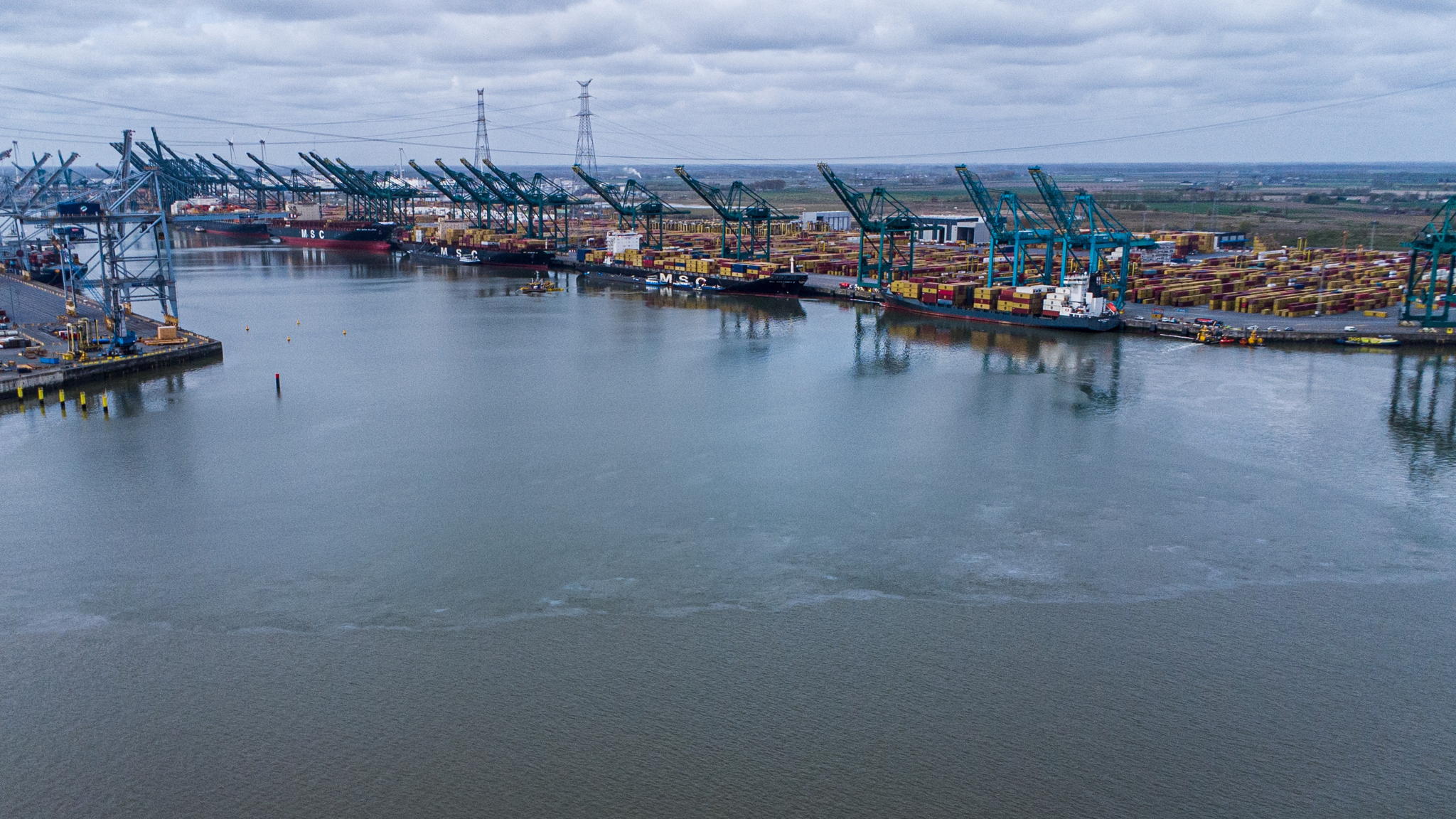 Scheldt reopened to traffic after oil spill Port of Antwerp, impact on nature unclear