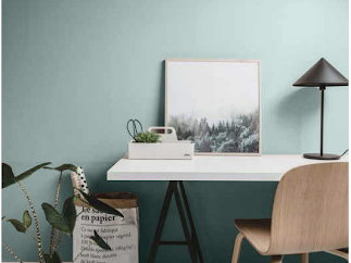 Conoce las tendencias e innovación en color