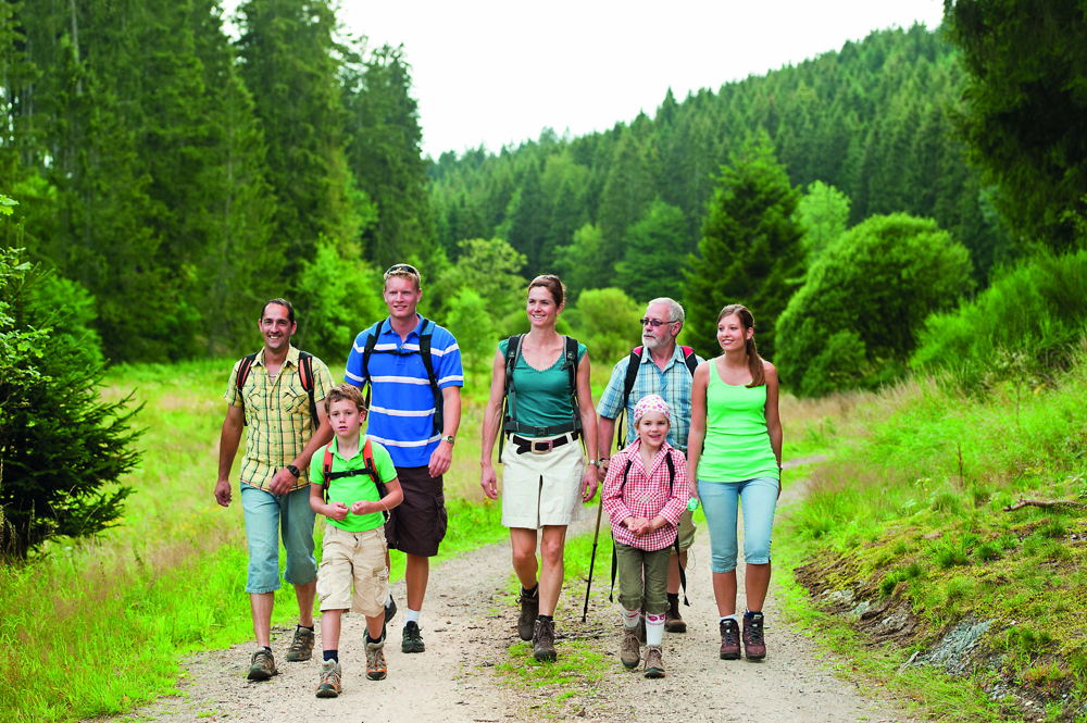 Wandern im Hochwald (2)