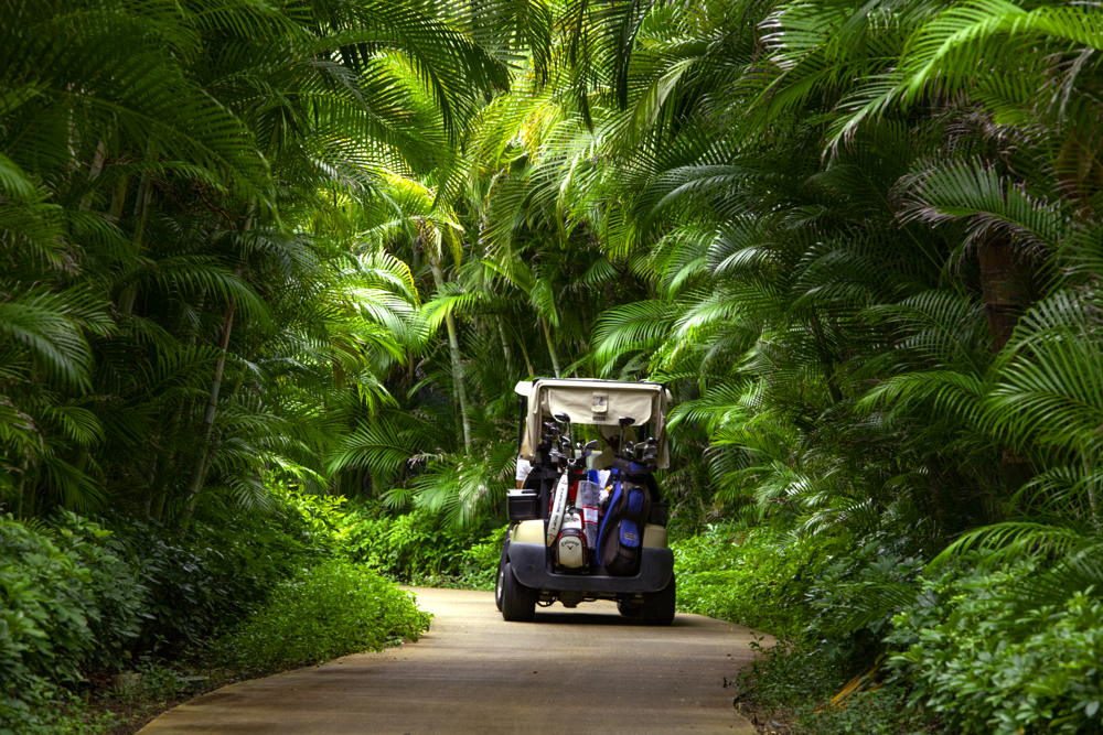 Punta Mita