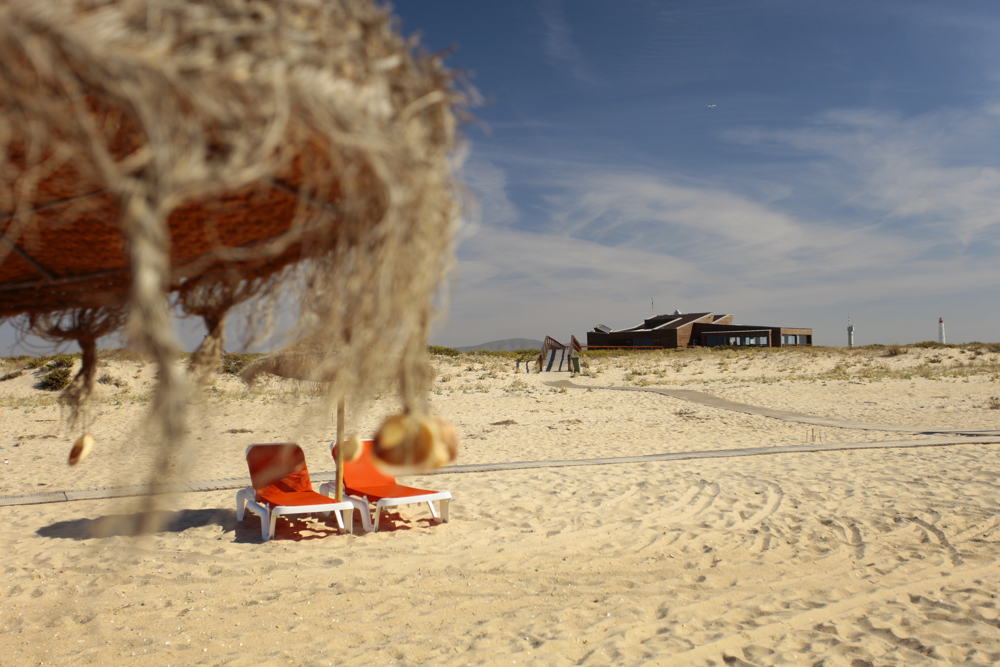 Ilha Deserta, Faro - Credit © Animaris-AT A