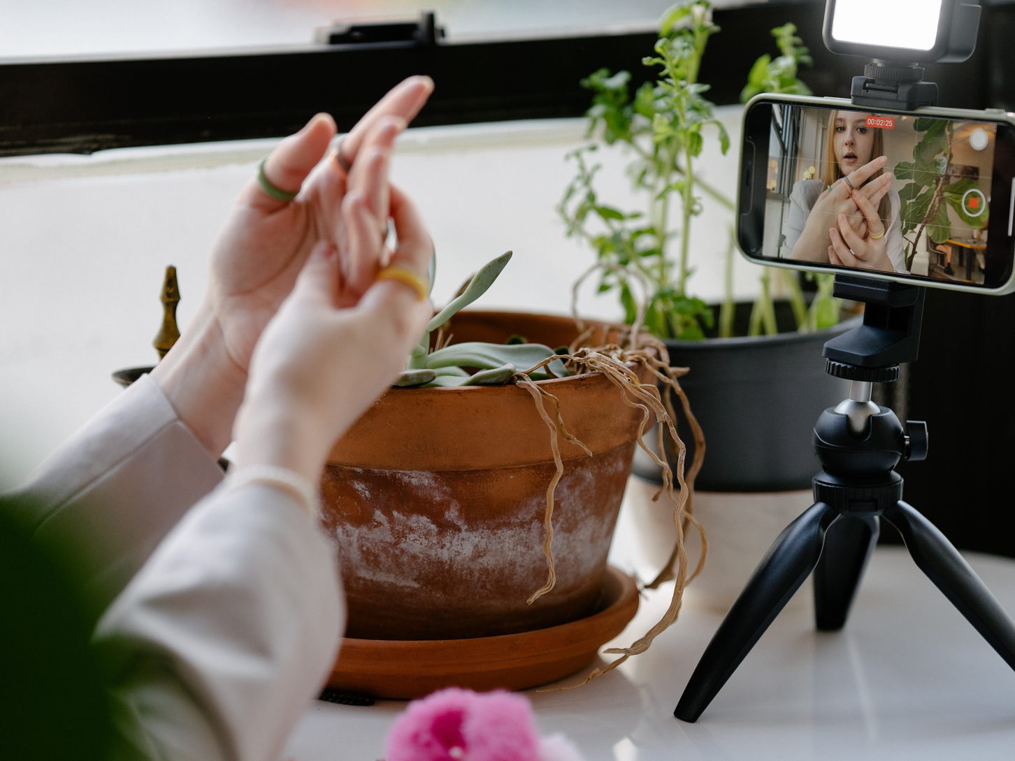 Snapmuse.io, el lugar donde los creadores y fans ganan al formar verdaderas comunidades.