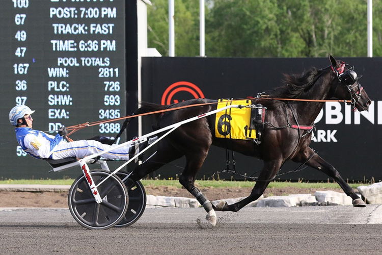 Twin B Archie winning the SBOA Stakes on May 23. (New Image Media)