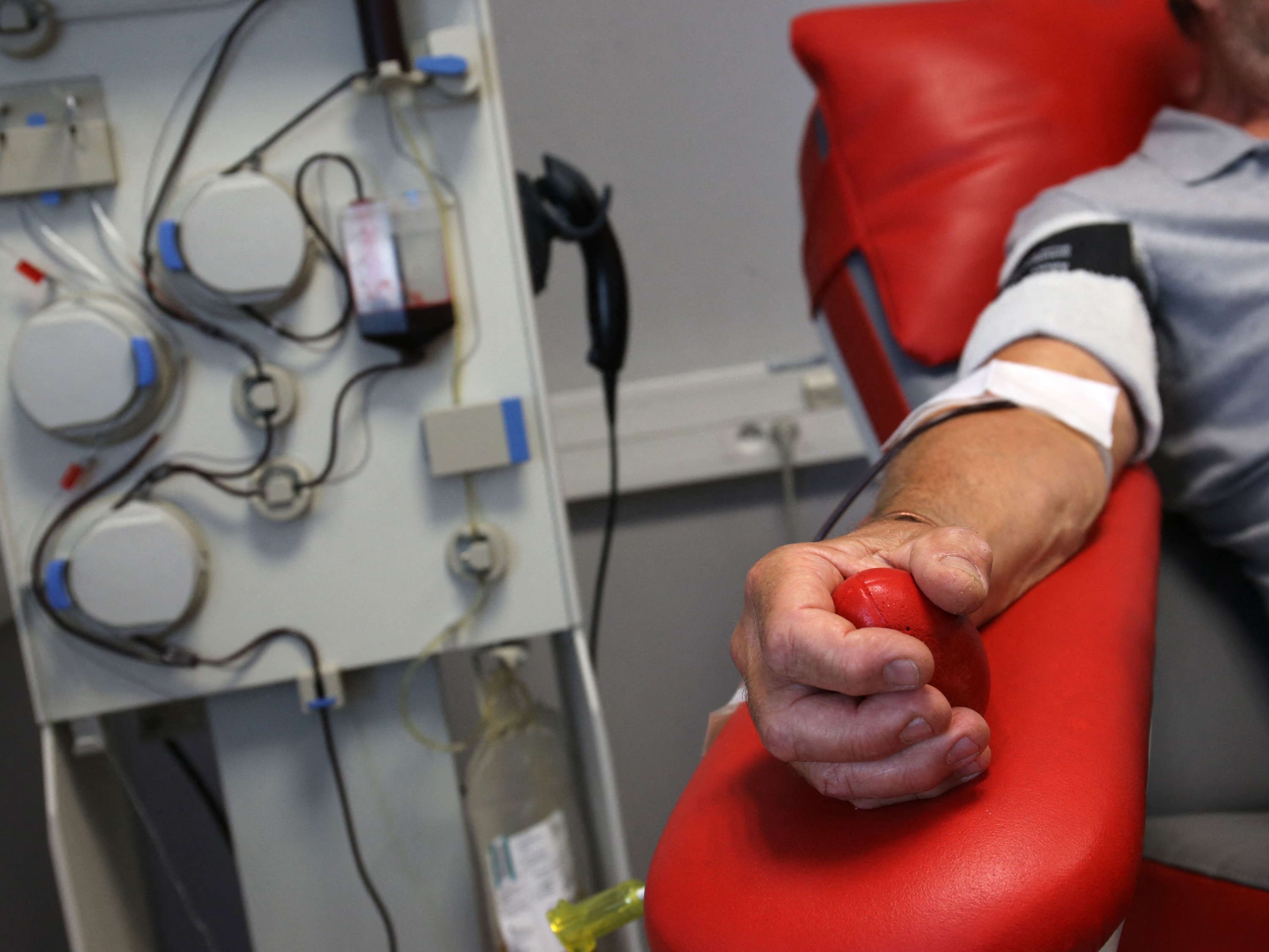 Pints for plasma: Red Cross summer campaign targets young donors