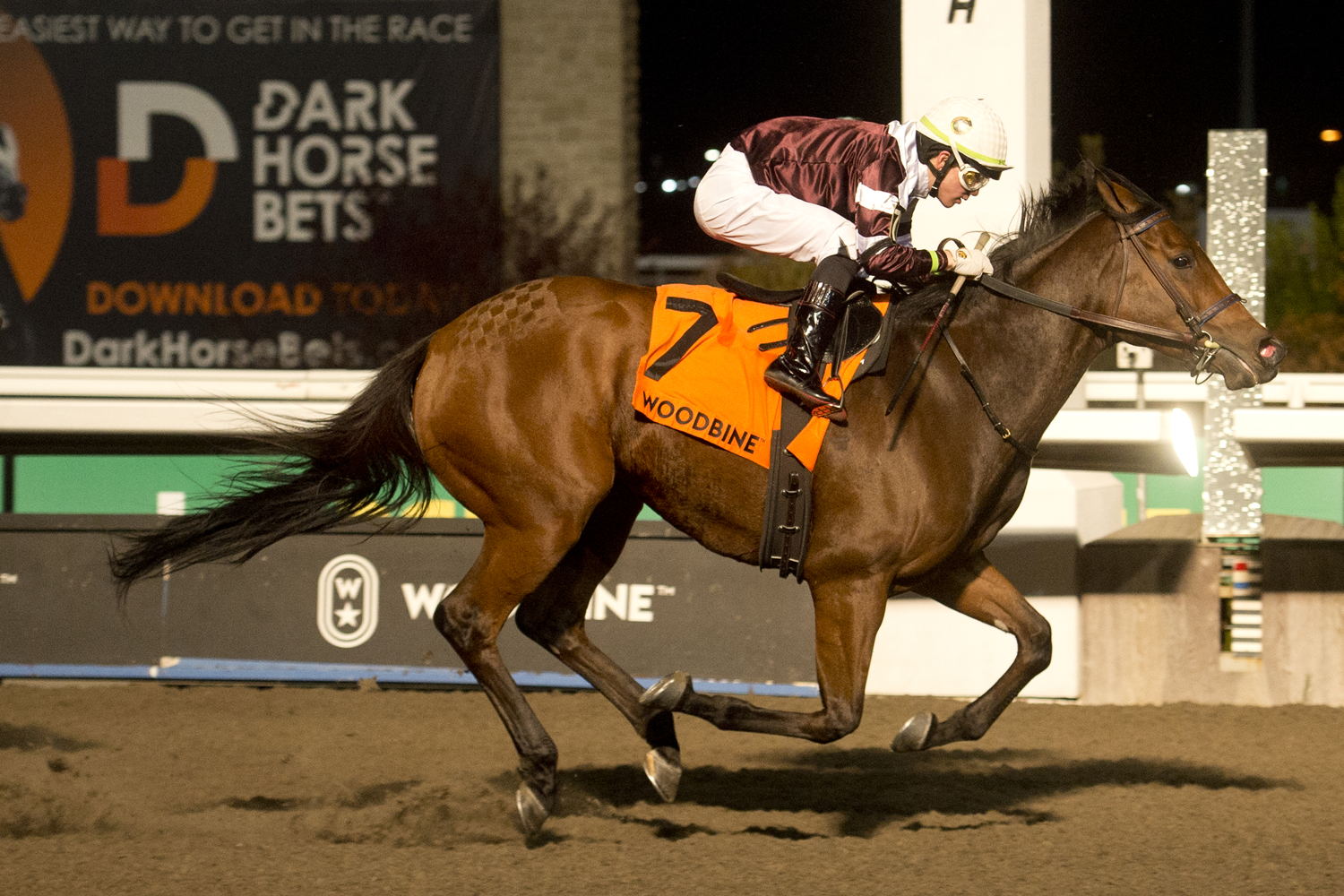 Loyalty and jockey Kazushi Kimura winning the Bessarabian Stakes on November 11, 2023 at Woodbine (Michael Burns Photo)