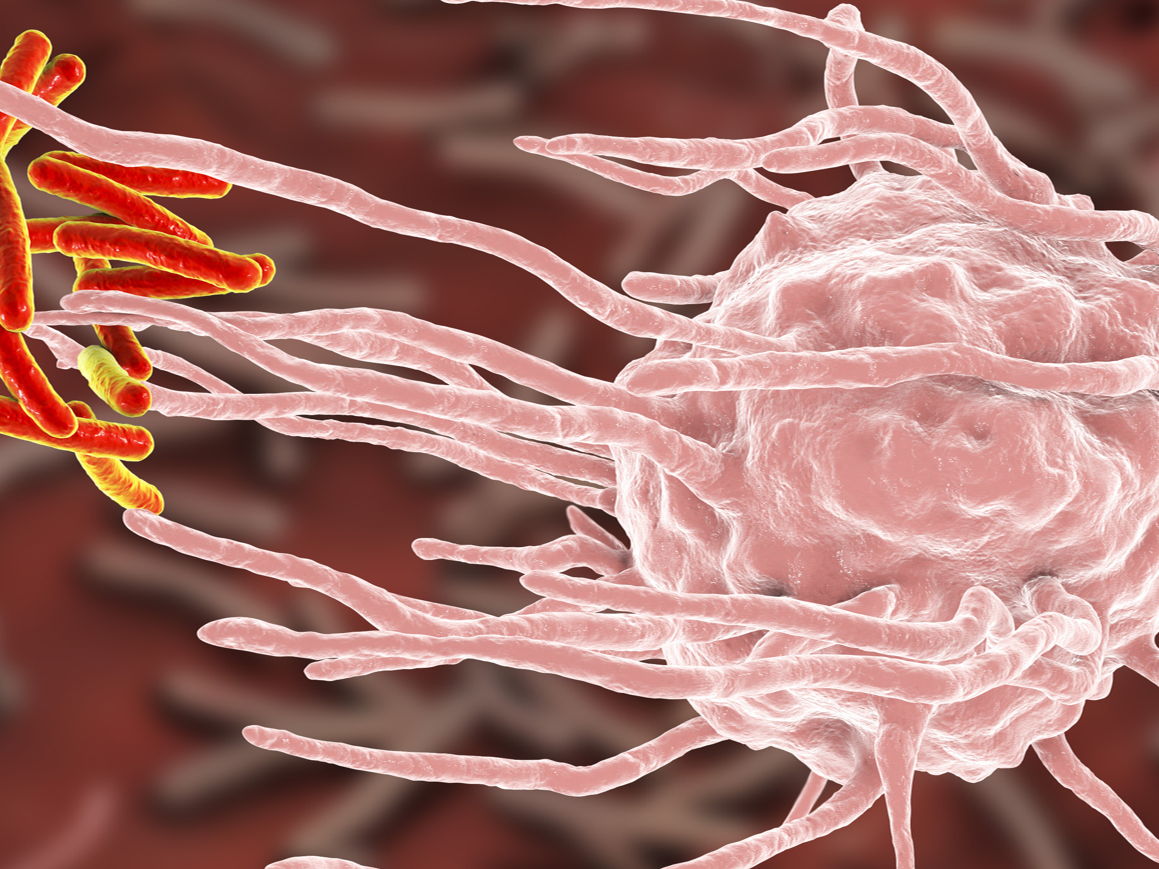 Van vriend tot vijand: Inflammatie begrijpen     