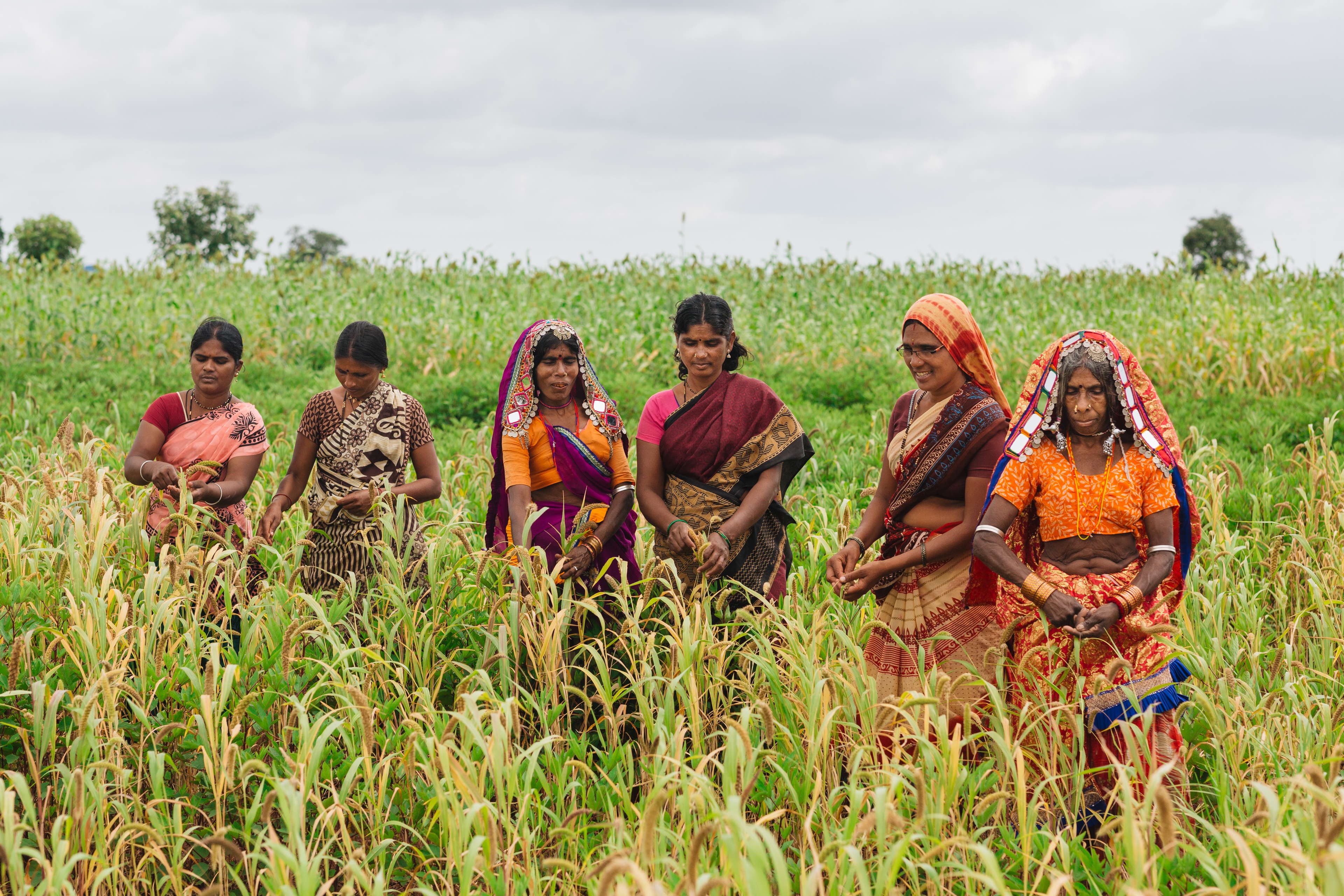 Revolutionizing Agricultural Extension and Advisory Services for Women Farmers