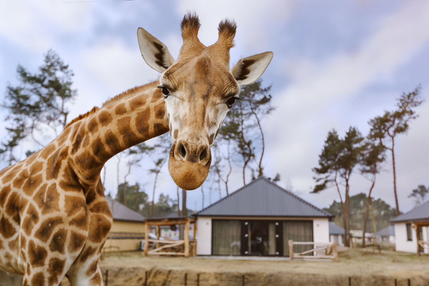 Safaripark Beekse Bergen