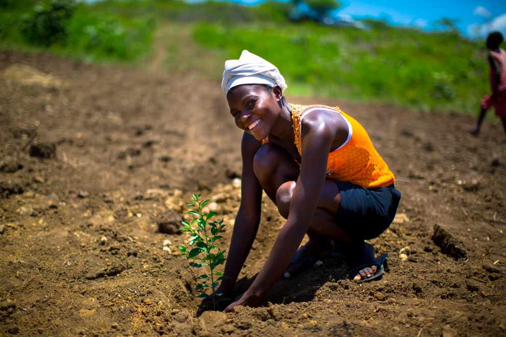 Haiti Tree Planting 7_Credit_A.F. Cortes_SFA.jpg