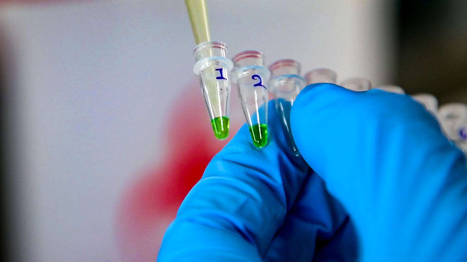 Identification and quantification of pathogens from crops.