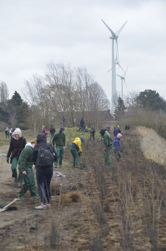 Leerlingen tuinbouwschool Melle planten 10.000 bomen en bosgoed in koppelingsgebied Rieme-Zuid