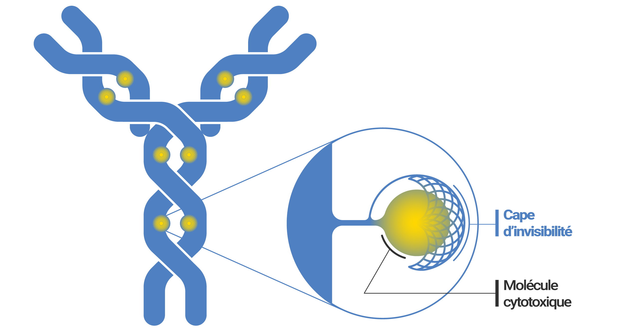 Een nieuwe hoop in de strijd tegen moeilijk behandelbare vormen van kanker : De Belgische Stichting Fournier-Majoie steunt een veelbelovend project in gerichte kankertherapieën