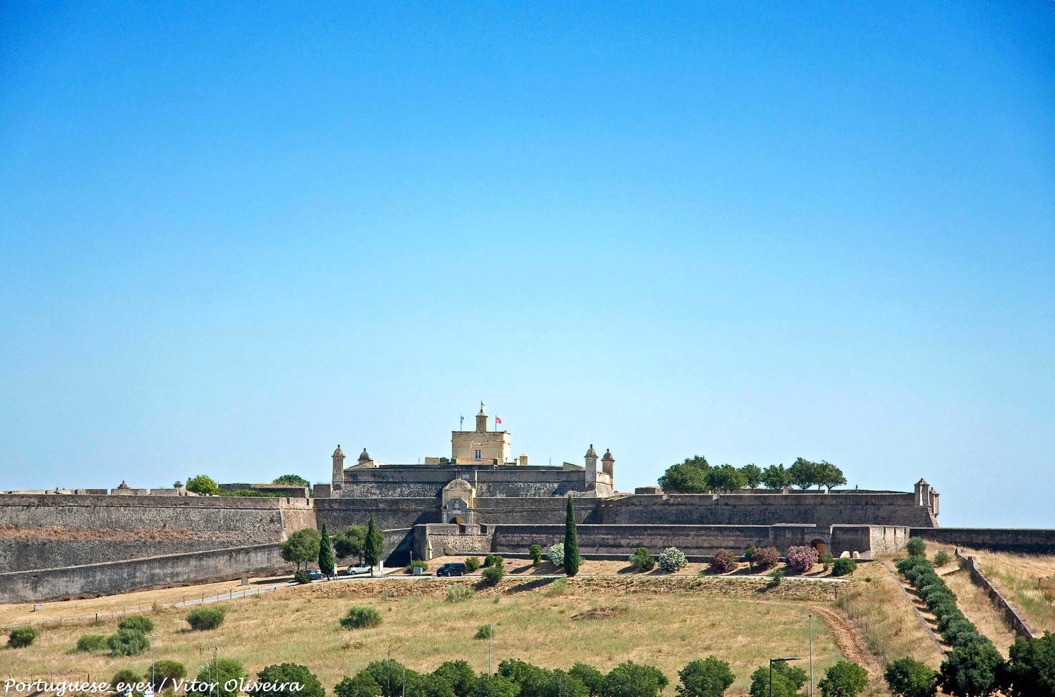 Elvas