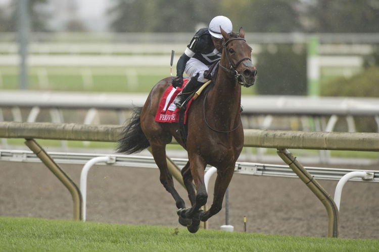 Fev Rover (IRE) and jockey Javier Castellano winning the E.P.Taylor Stakes on October 8, 2023 at Woodbine (Michael Burns Photo)