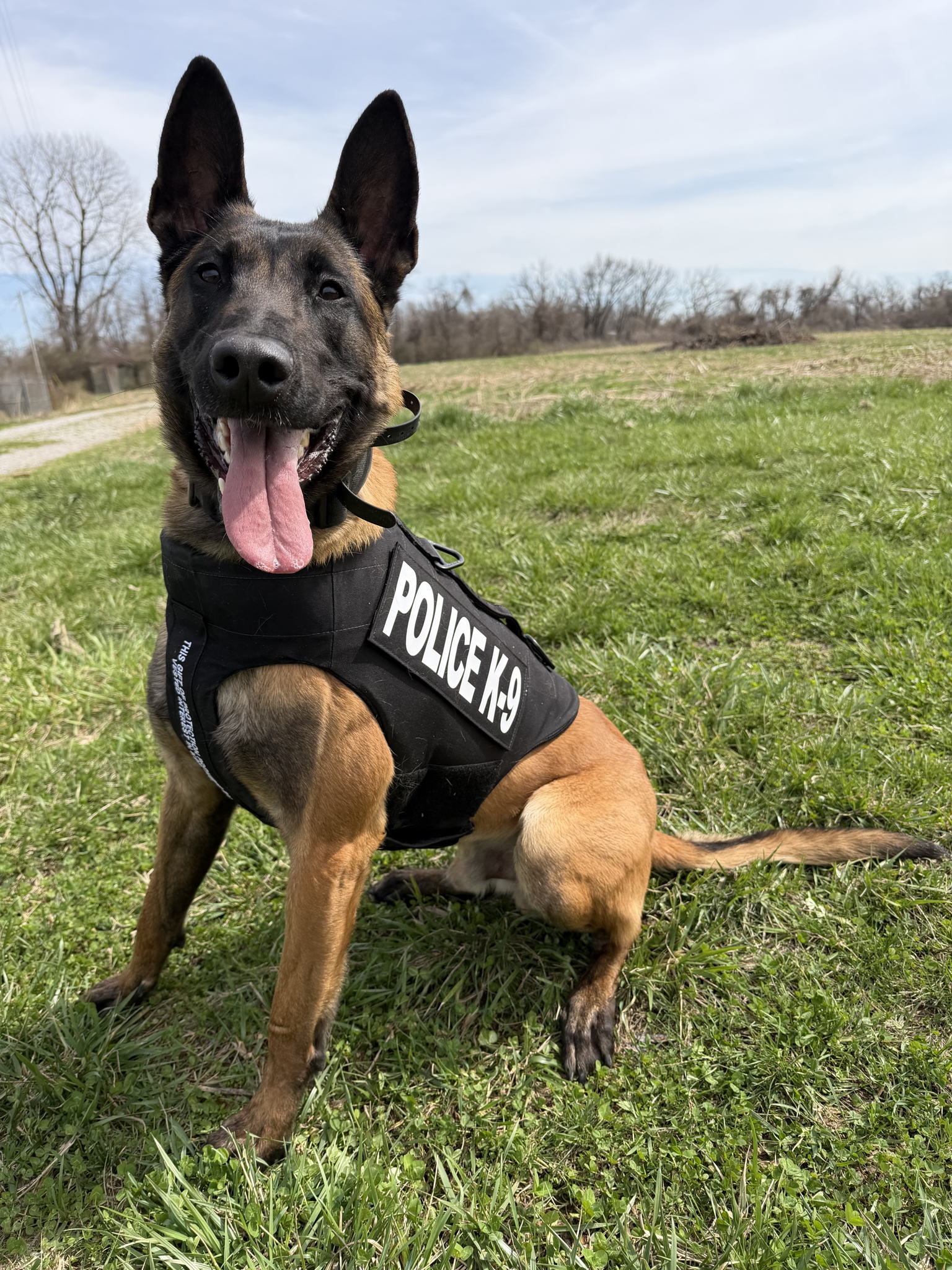 K9 Zeus K9 Zeus