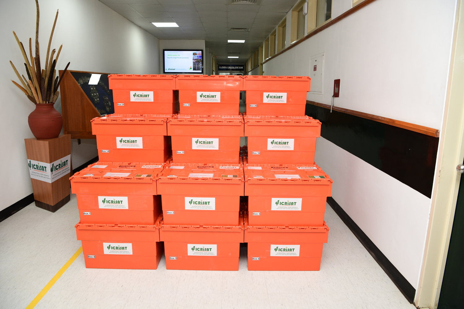 Germplasm collection shared with the Svalbard Global Seed Vault 