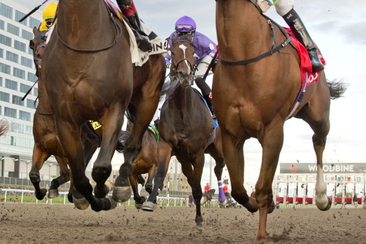 Artie's Storm and jockey Emma-Jayne Wilson winning the Durham Cup on October 7, 2023 at Woodbine (Michael Burns Photo)