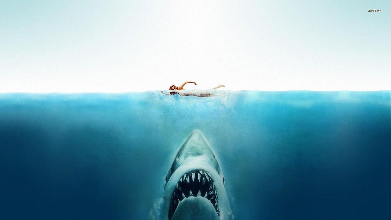 Jaws - (c) Universal