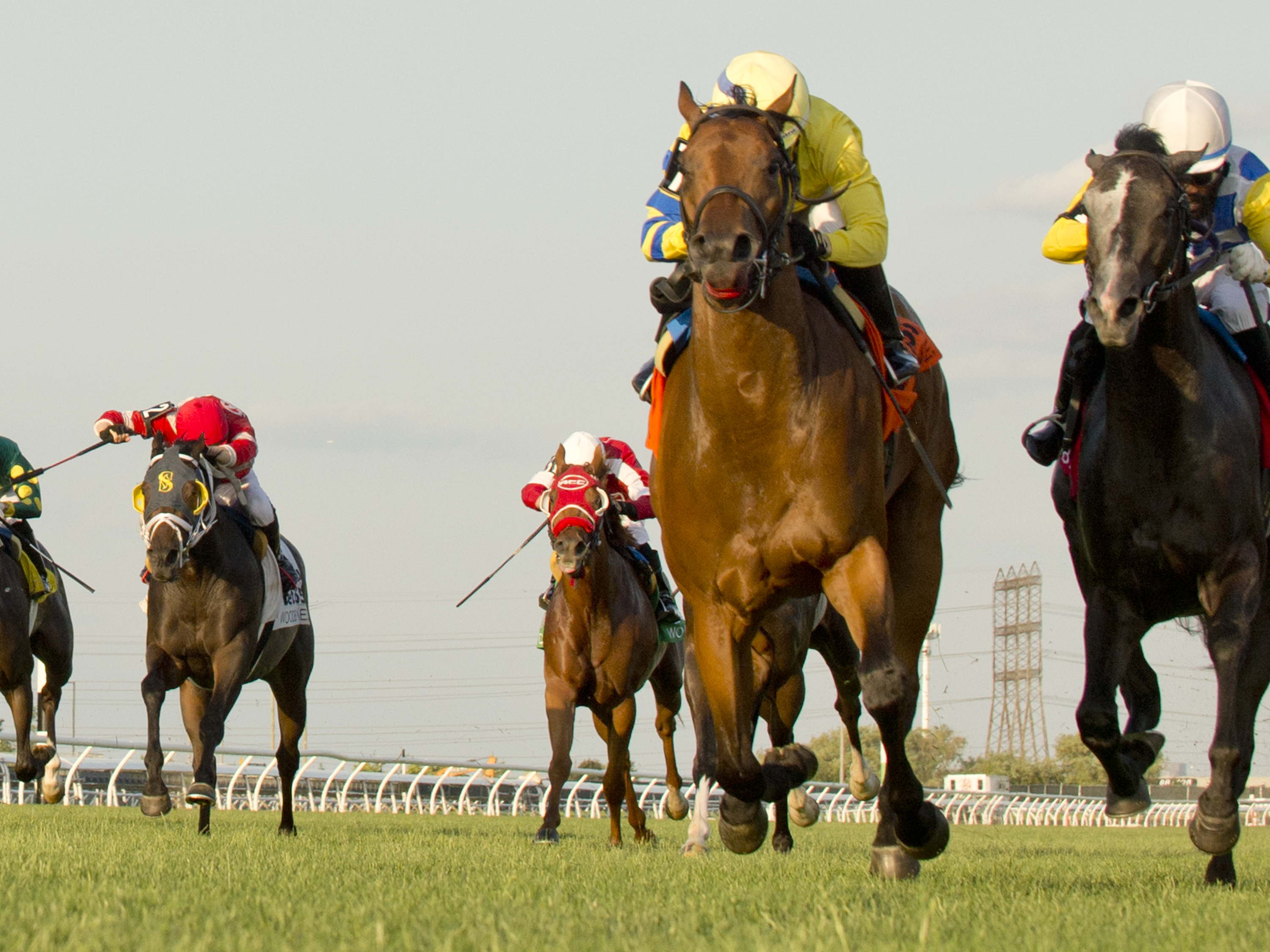 Rhaenyra flows to Georgian Bay win / Go Kart Mozart powers to Lake Huron victory