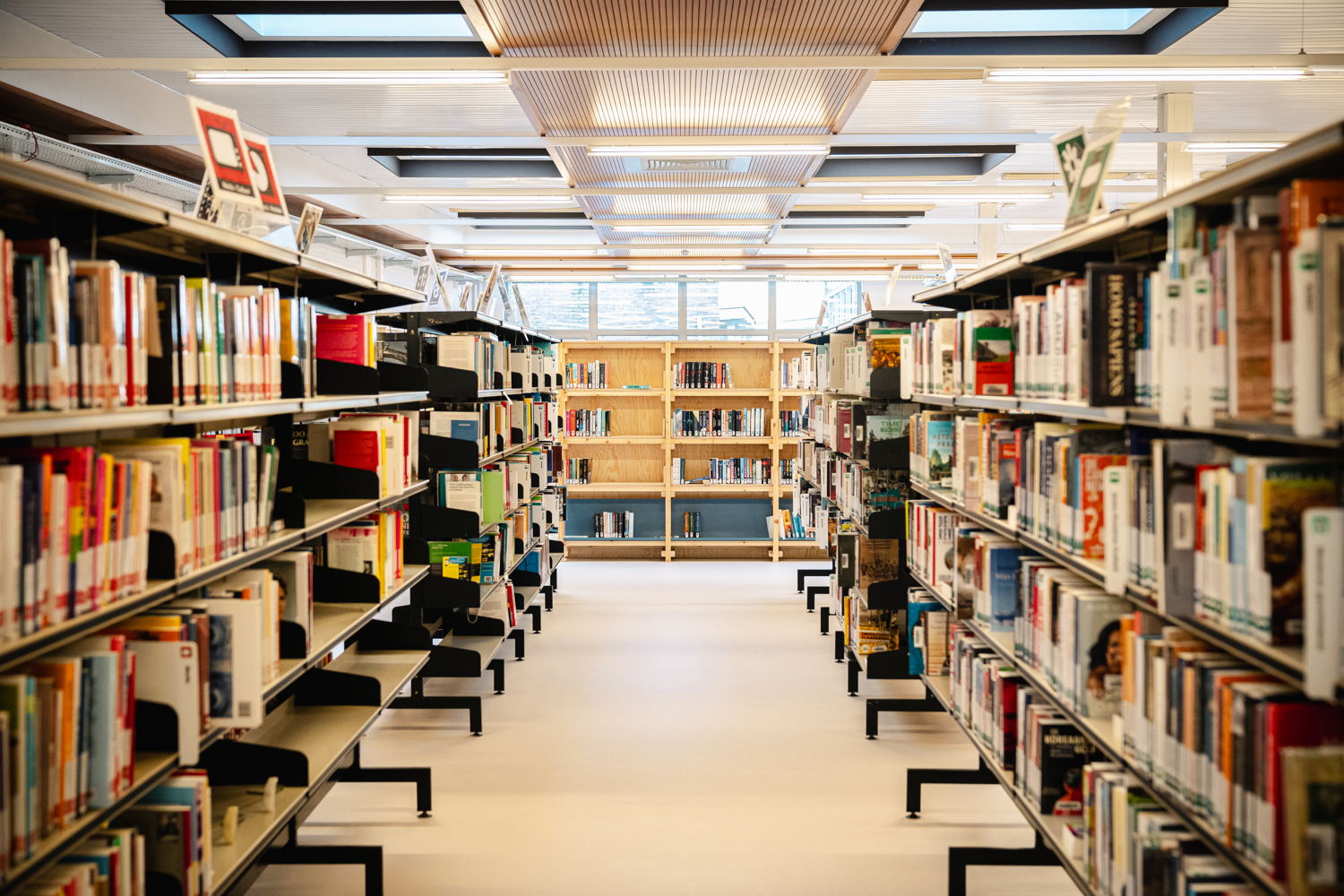 Bib Hoboken boekenrekken tussenbeeld (c) Tom Cornille