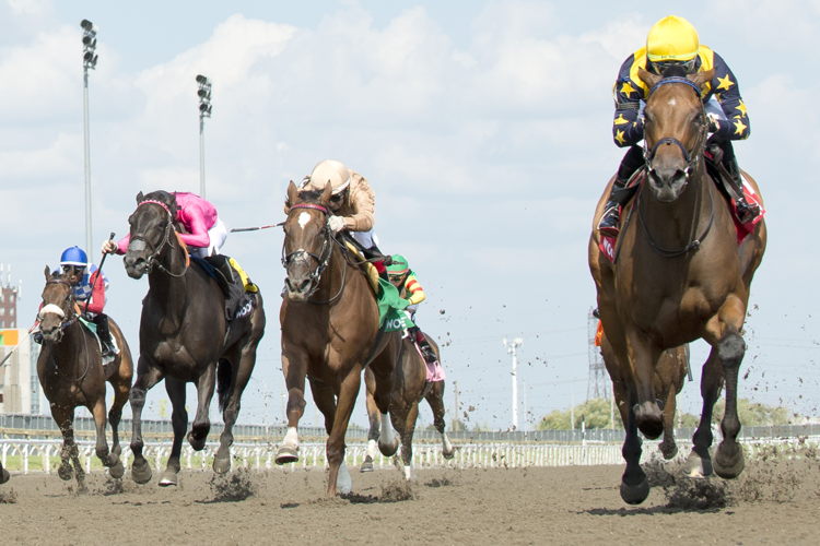Loyalty and jockey Kazushi Kimura winning the Hendrie Stakes on July 22, 2023 at Woodbine (Michael Burns Photo)