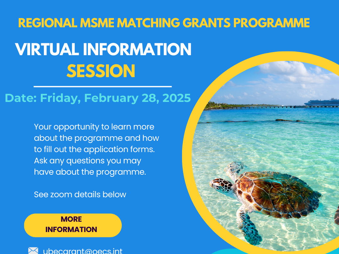 Virtual Information Session on Window 2 Call for Proposals of the Regional MSME Matching Grants Programme a Resounding Success