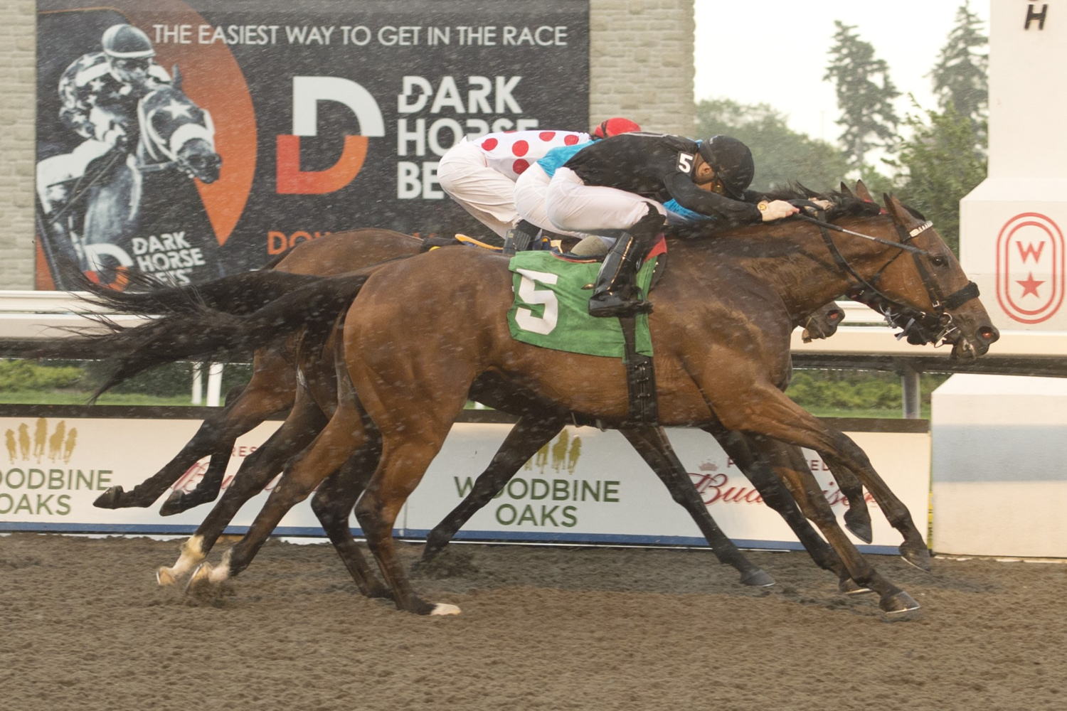 Il Malocchio and Sahin Civaci winning Sunday's Grade 3 Trillium Stakes Presented by Stella Artois. (Michael Burns Photo)