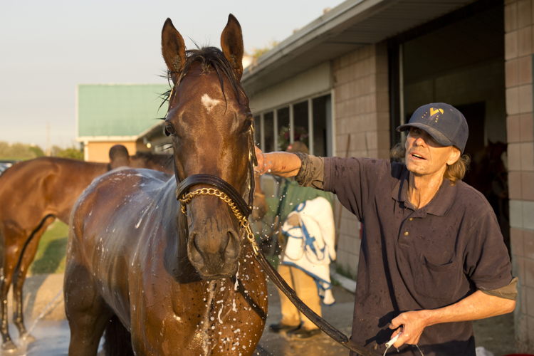 Quality Presence training at Woodbine (Michael Burns Photo)