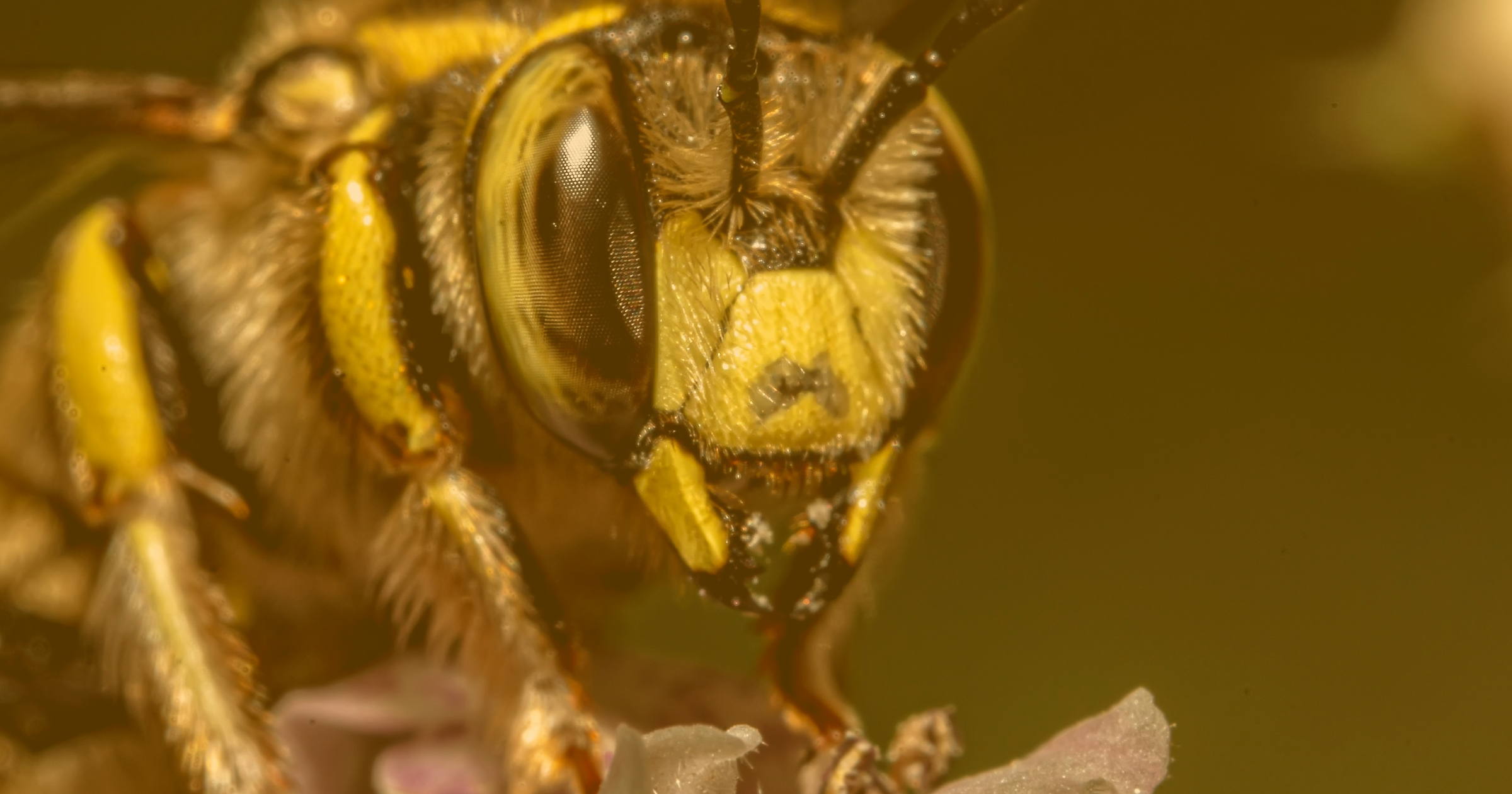 The 7 Best BuzzStream Competitors & Alternatives (in 2025)
