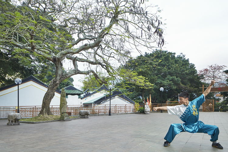 Shaolin Wushu Training, The Peninsula Academy 