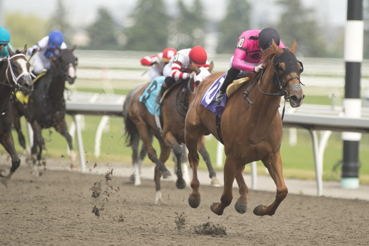 Solo Album and jockey Sahin Civaci winning the Selene Stakes on July 1, 2023 at Woodbine (Michael Burns Photo)