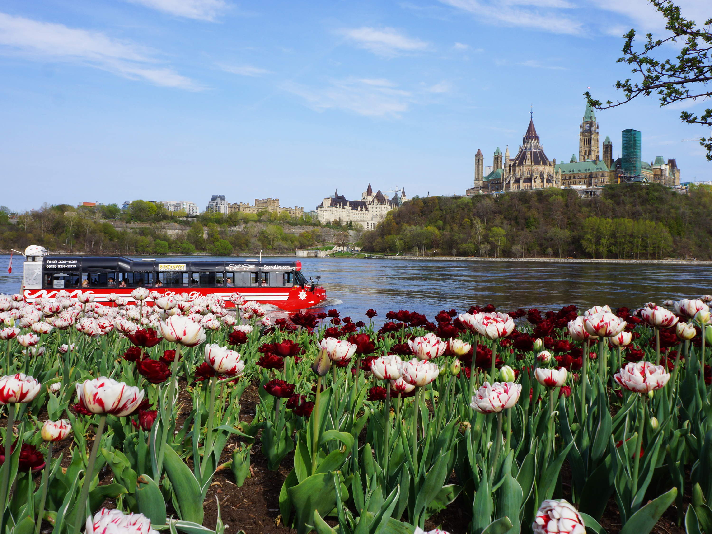 Da el salto a la primavera en Ottawa con nuevas aventuras 