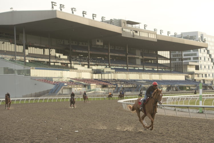 Morning training at Woodbine Racetrack April 2024 (Michael Burns Photo)