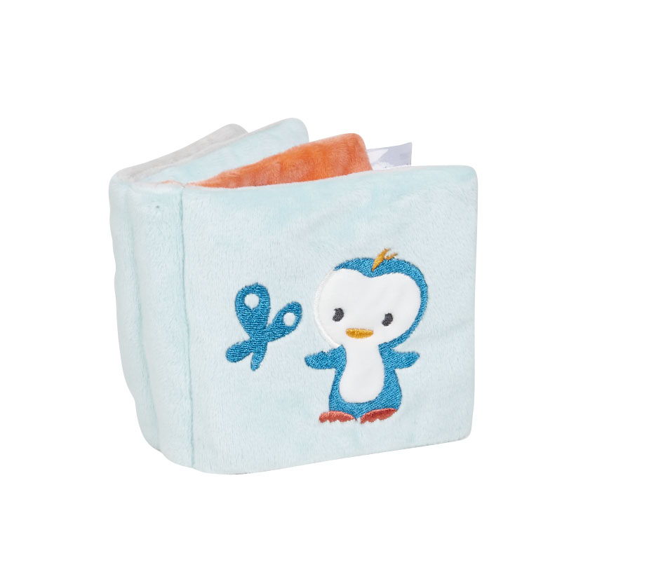 Buggyboekje 10,95 euro