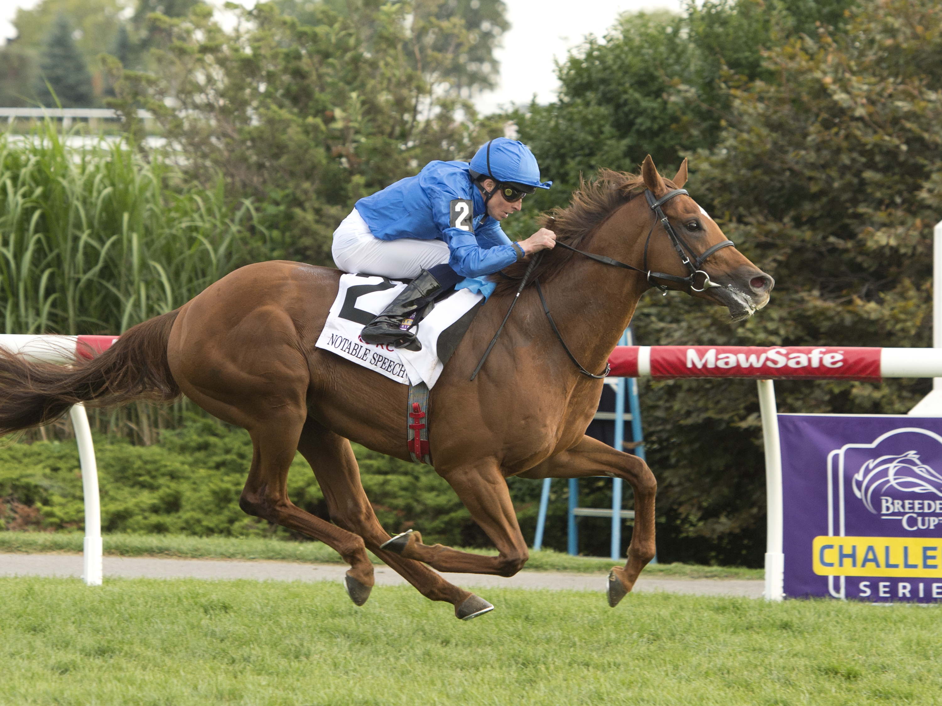 Statement made: Notable Speech (GB) powers to Rogers Woodbine Mile win 