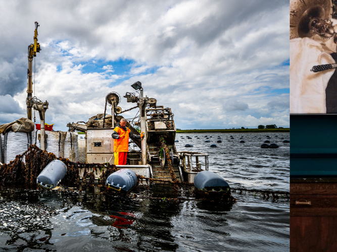 Uitnodiging: Start van het seizoen Zeeuwse hangcultuurmosselen 2025