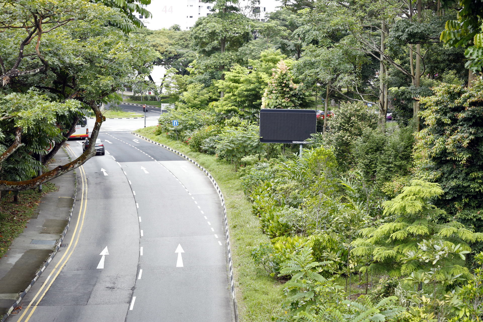 Henderson Road Nature Way. Image courtesy of NParks