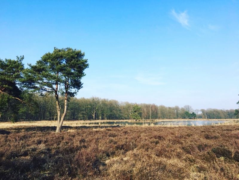 De Utrechtse Heuvelrug