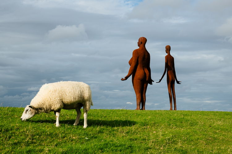 Friesland