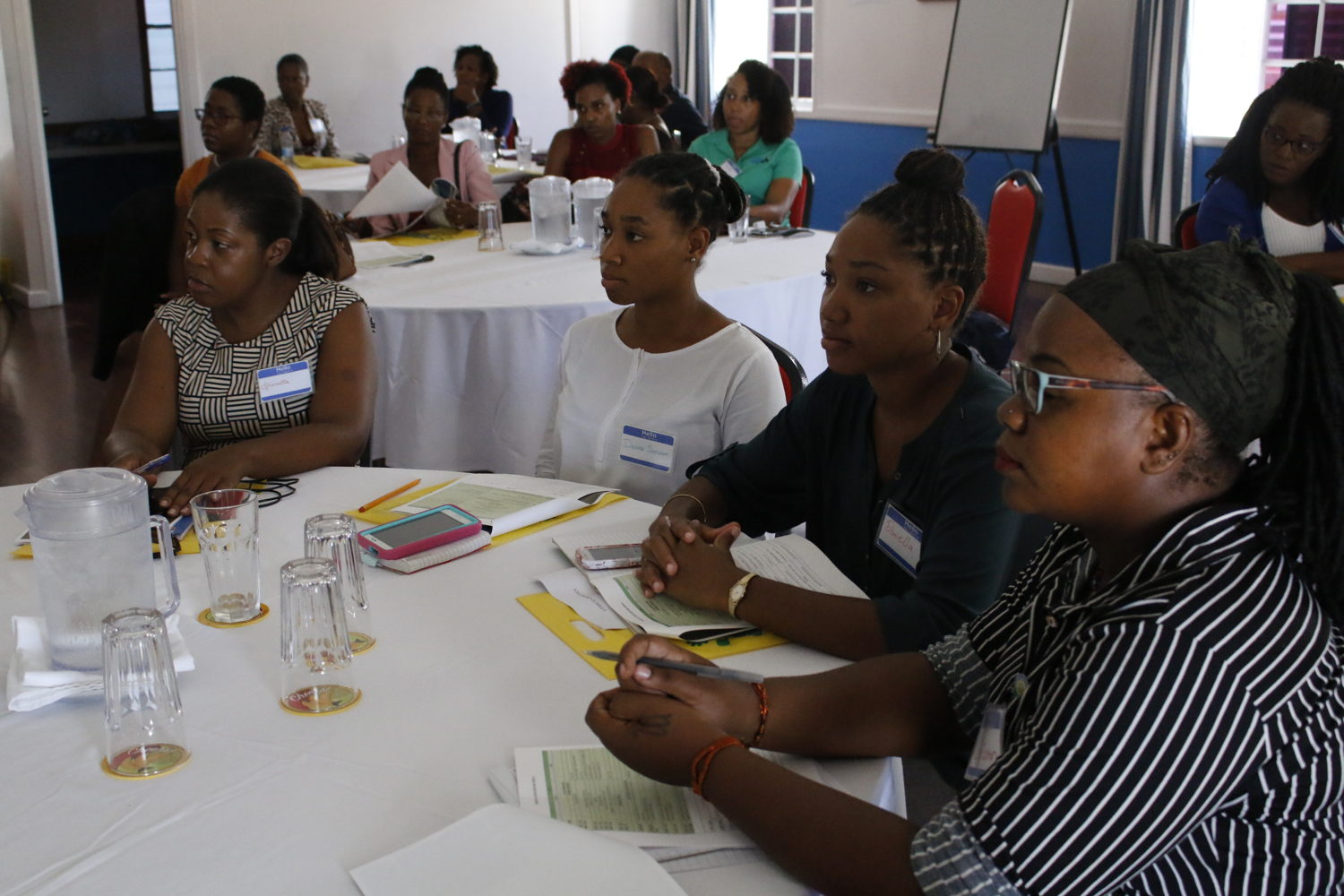 Participants attend Idea Generation Session.