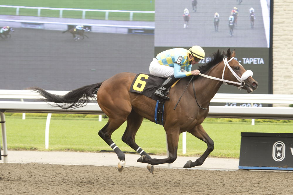 Jimmy's Affair and jockey Gary Boulanger winning Race 5 on July 15, 2023 at Woodbine (Michael Burns Photo)